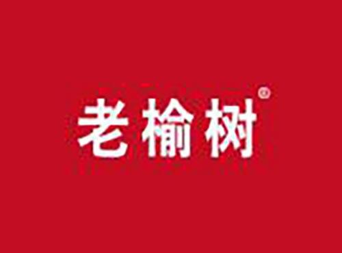 老榆树