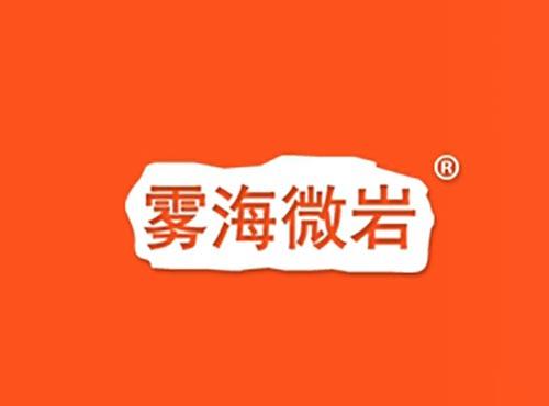 雾海微岩