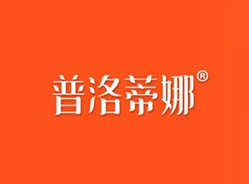 普洛蒂娜