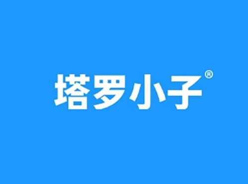 塔罗小子