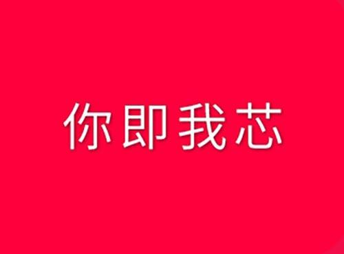 你即我芯