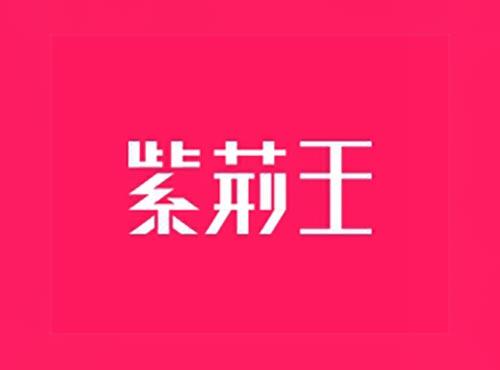 紫荆王