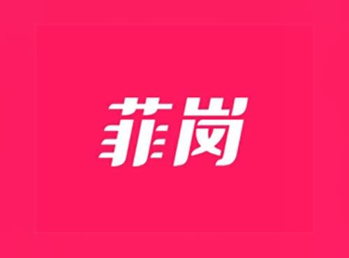 菲岗