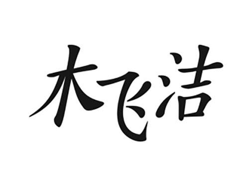 木飞洁
