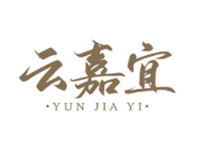 云嘉宜YUNJIAYI