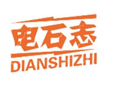 电石志DIANSHIZHI