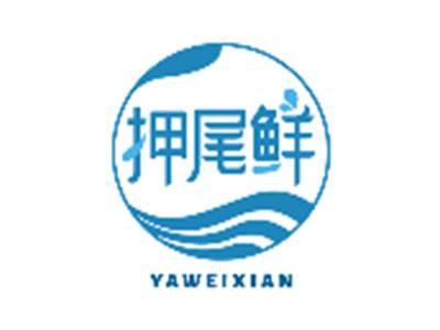 押尾鲜YAWEIXIAN