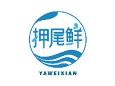 押尾鲜YAWEIXIAN