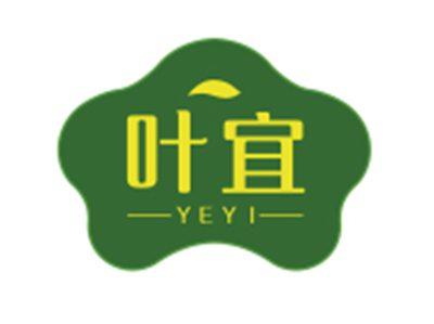 叶宜YEYI
