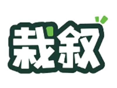 栽叙