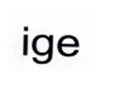 IGE