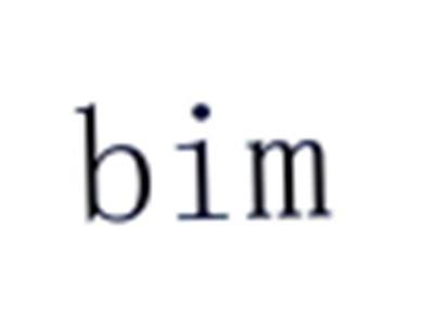 BIM