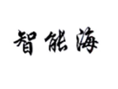 智能海