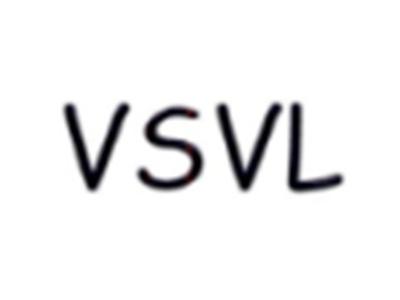 VSVL
