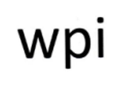 WPI