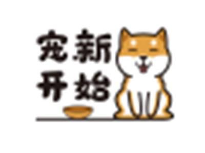 宠新开始