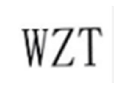 WZT