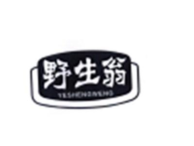野生翁