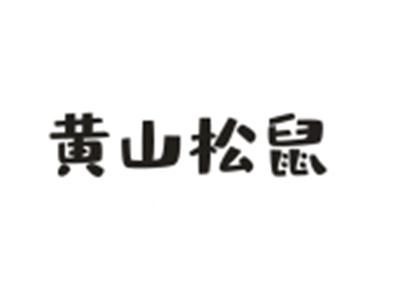 黄山松鼠
