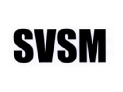 SVSM
