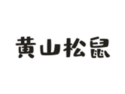 黄山松鼠