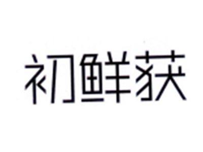 初鲜获