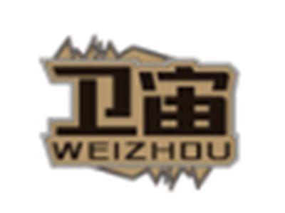 卫宙