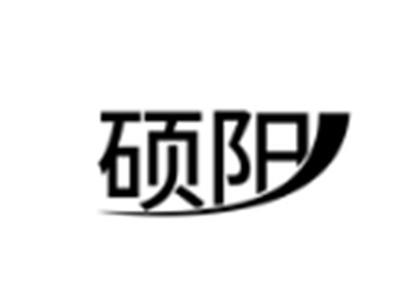 硕阳