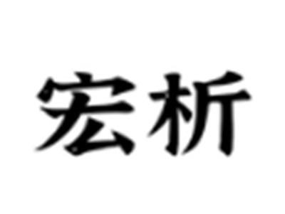宏析