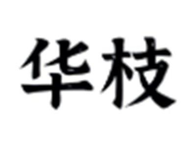 华枝