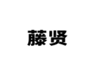 藤贤