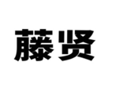 藤贤