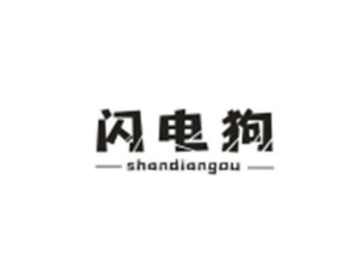 闪电狗