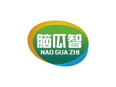 脑瓜智NAOGUAZHI