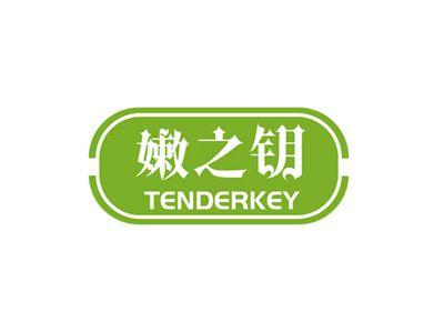 嫩之钥TENDERKEY