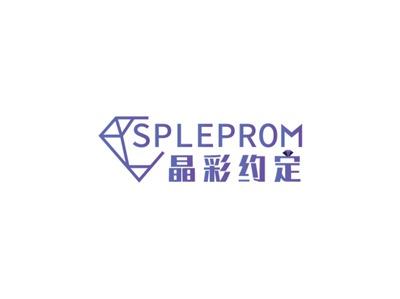 晶彩约定SPLEPROM