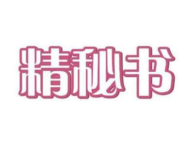 精秘书