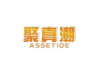 聚真潮ASSETIDE