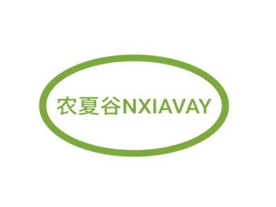农夏谷NXIAVAY