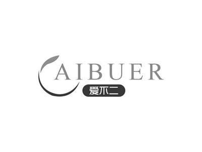 爱不二AIBUER
