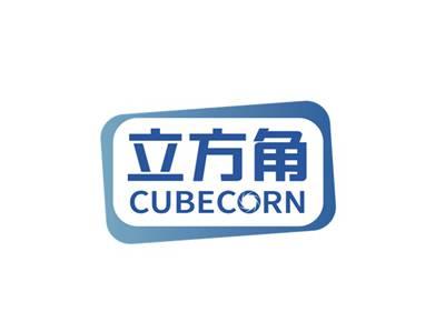 立方角CUBECORN