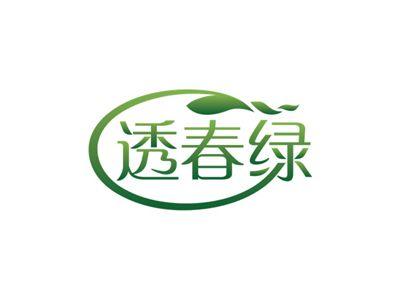 透春绿