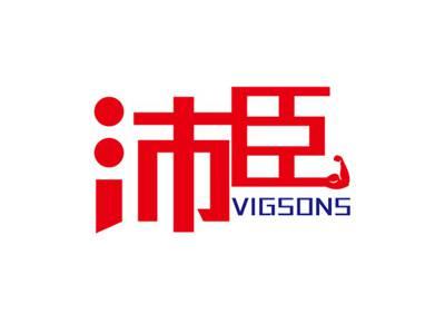 沛臣VIGSONS