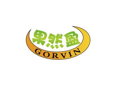 果然盈GORVIN