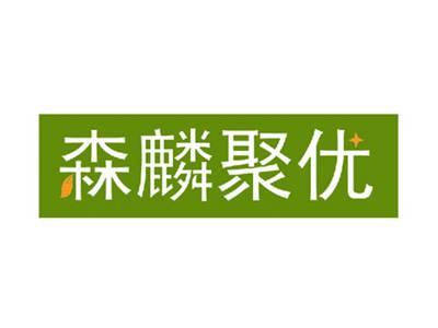 森麟聚优