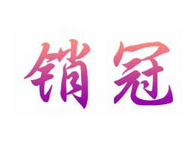销冠