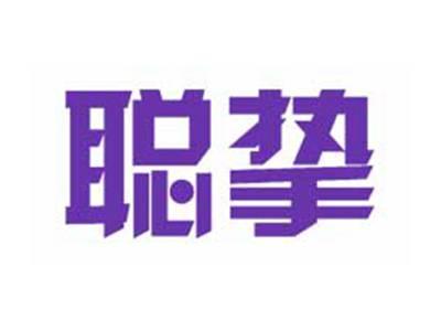 聪挚