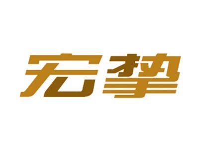 宏挚