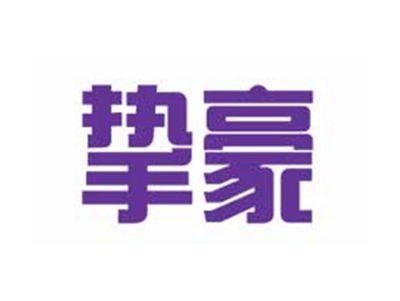挚豪