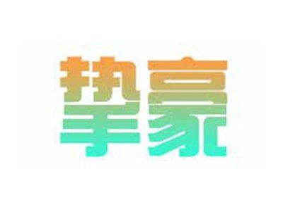 挚豪